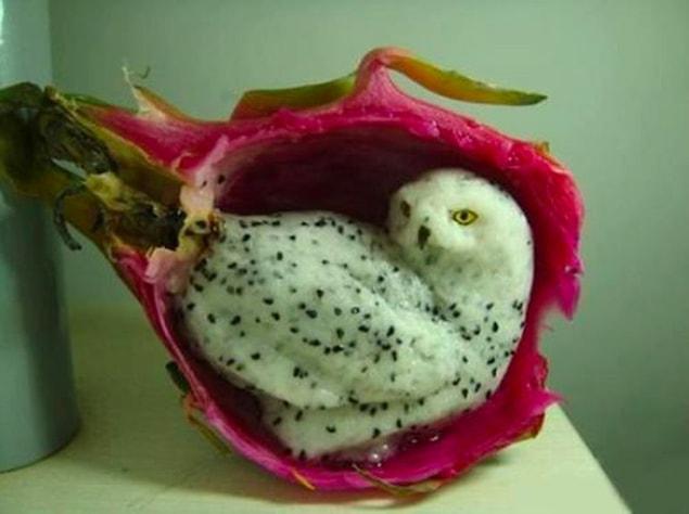 14. An owl in a dragon fruit...