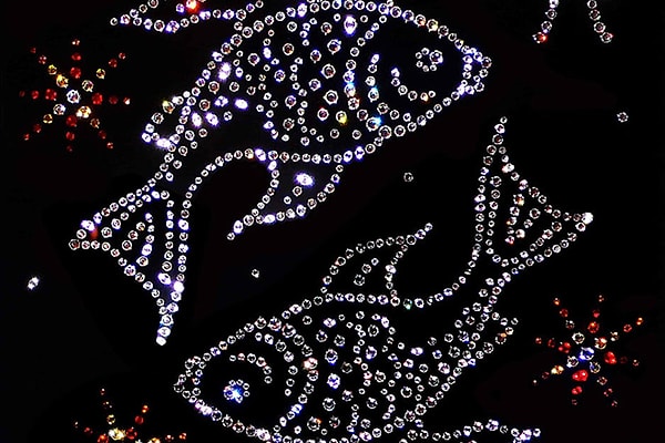 Вы выбрали созвездие Рыб