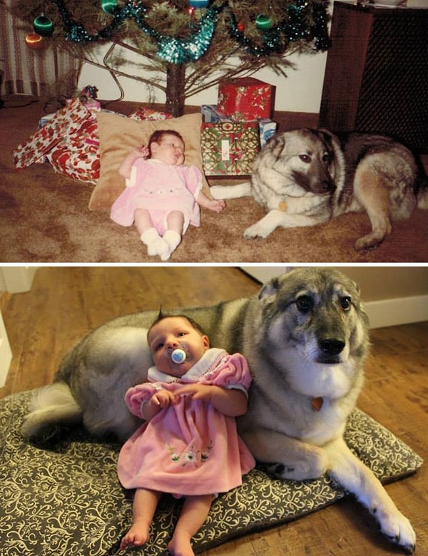 16. "Моя жена и ее собака 30 лет назад и наша дочь и ее собака"