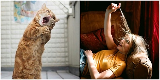 Rastgele Bir Fotoğraf Çekmeye Niyetlenirken Yanlışlıkla Rönesans Tablosu Yaratan 23 Kişi