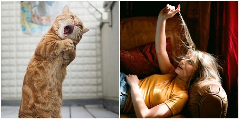 Rastgele Bir Fotoğraf Çekmeye Niyetlenirken Yanlışlıkla Rönesans Tablosu Yaratan 23 Kişi