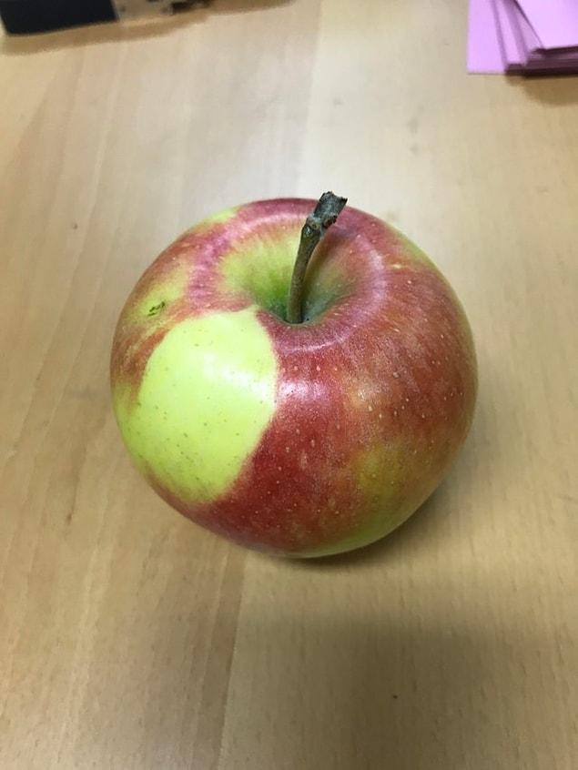 9. "You can see where a leaf cast a shadow on this apple"