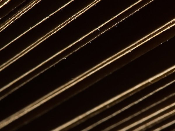 4. Что это такое на картинке?