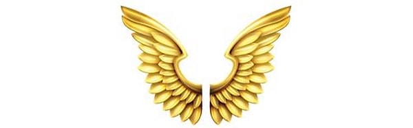 Вы выбрали крылья надежды