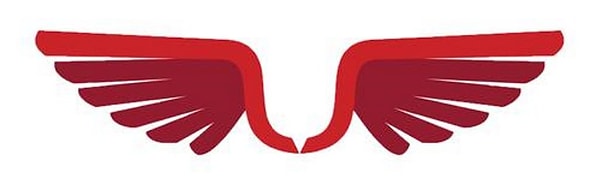 Вы выбрали крылья воина