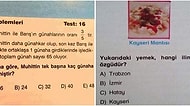 Hangi Kafayla Hazırlandığı ve Cevaplandırıldığı Anlaşılamayacak Birbirinden Absürt 15 Soru ve Cevap