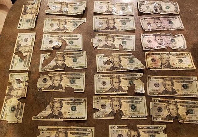10. You should spend your money when you have time...