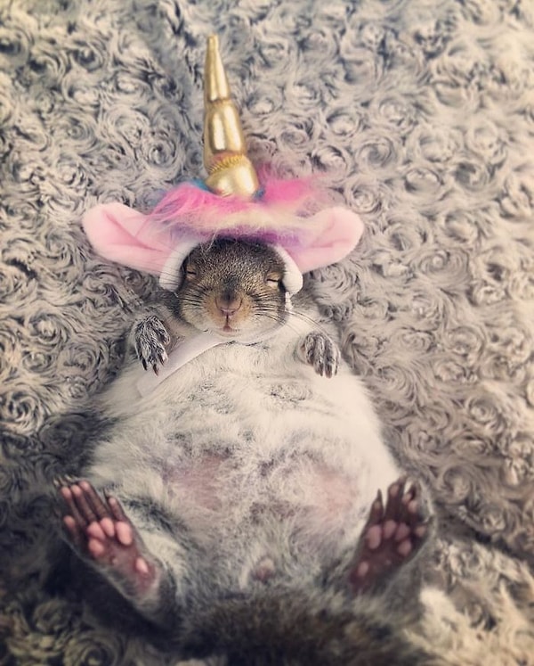 "Я не знаю, что она думает по этому поводу, но она определенно не белка", - говорит Кристина.