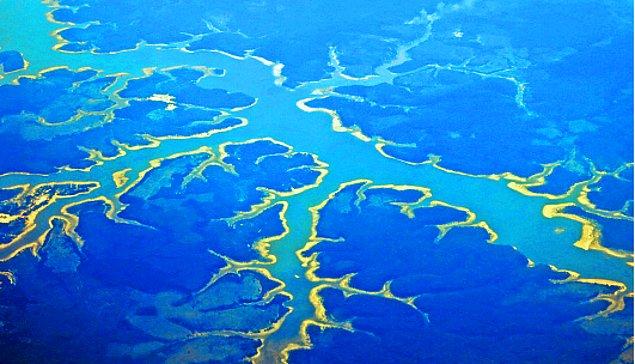 14. Brezilya'da Belem ve Manaus'un arasındaki Amazon havzası: