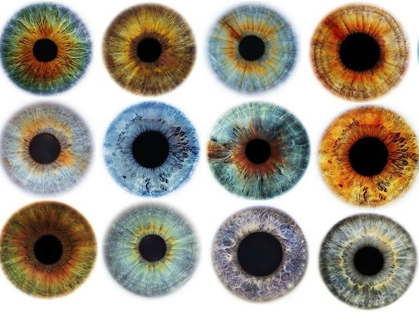 8. Выберите оттенок глаз, который больше всего похож на ваш: