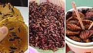 Пробовать или нет - решать вам: 10 блюд из насекомых, которые стоит отведать
