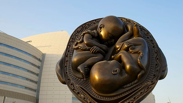 ��� ���� ��������� �� ������� ����������� ��������� ������� ո����.