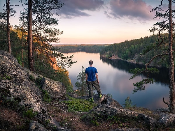 7. Выбери какой-нибудь вид:
