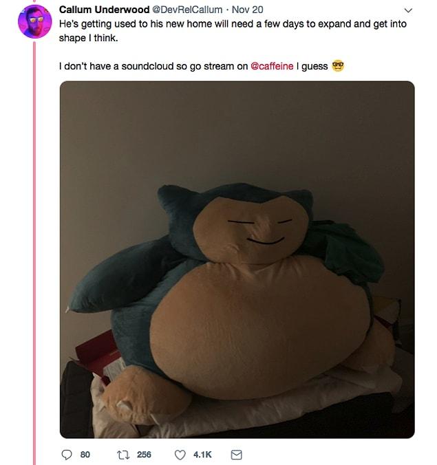 Poor Snorlax finally arrived his new home!