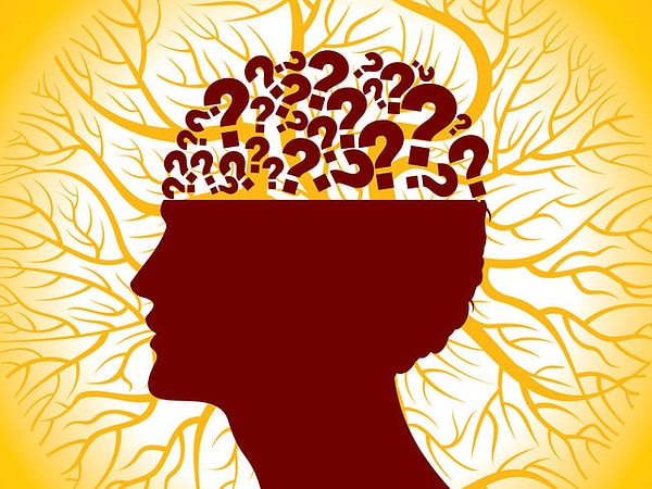 Пытливый, любопытный разум