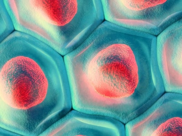 3. Укажите правильную последовательность уровней организации биологических систем.