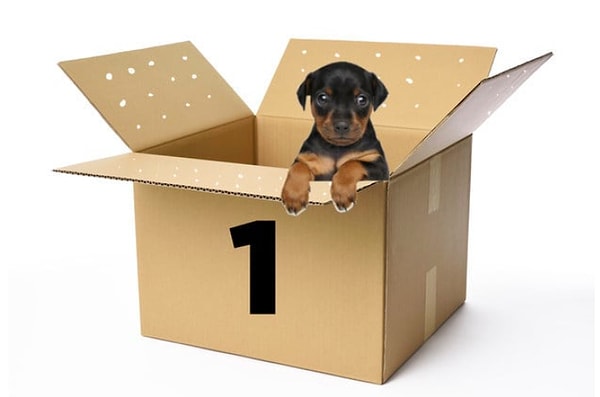 Показать правильный ответ