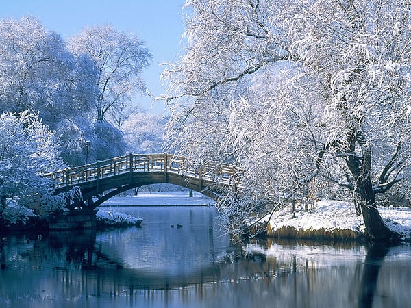 Это ваша первая жизнь на земле!