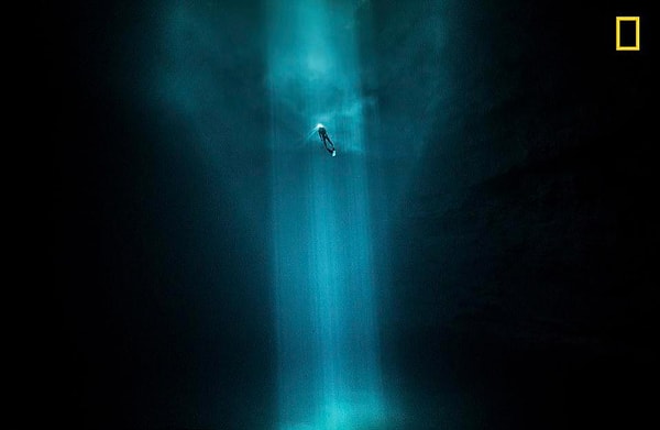 Подводный мир Мексики был снят французским фотографом.