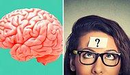 Тест: В чем действительно хорош ваш мозг? Ответьте всего на 8 вопросов и узнайте