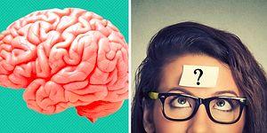 Тест: В чем действительно хорош ваш мозг? Ответьте всего на 8 вопросов и узнайте