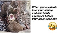 17 Epic Situations Only People Who Have Siblings Will Understand!