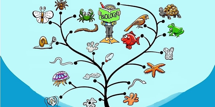 Ответьте правильно на все вопросы теста по биологии и докажите, что в школе вы не прогуливали уроки по этому предмету