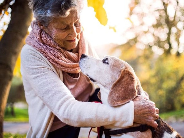 10. "В моей семье есть люди, которые прожили более 80 лет".