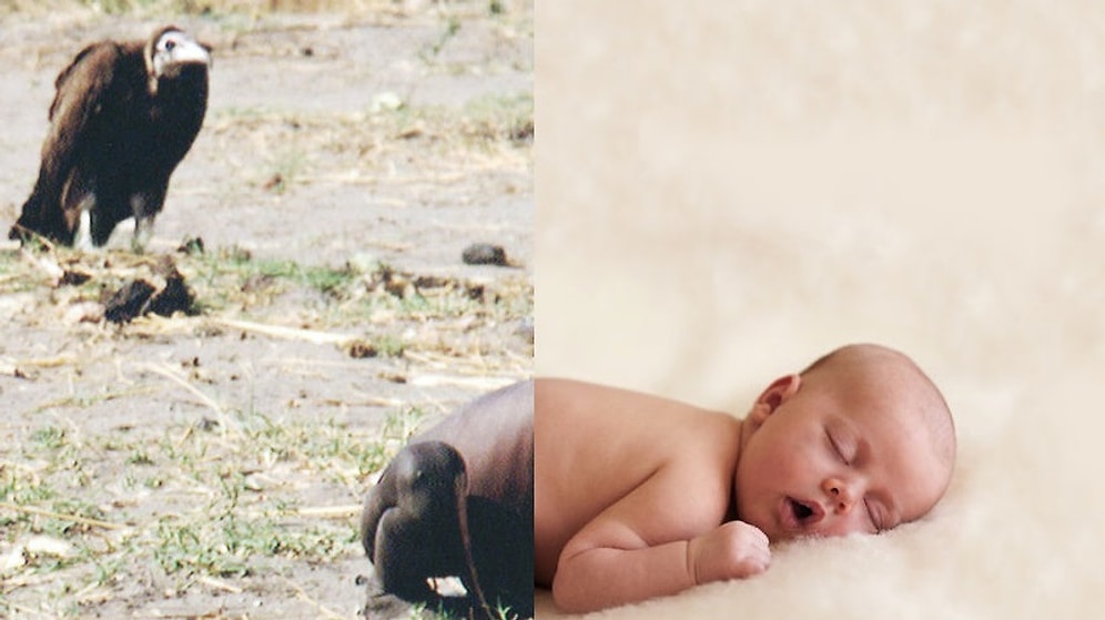 Турецкий фотограф показал чудовищный контраст между двумя мирами, в которых мы живем