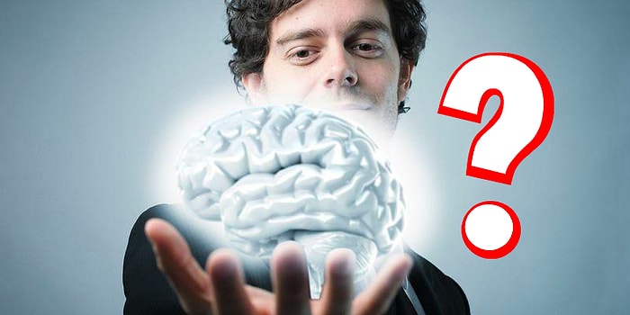 Тест: Определим истинный возраст вашего мозга, основываясь на ваших предпочтениях