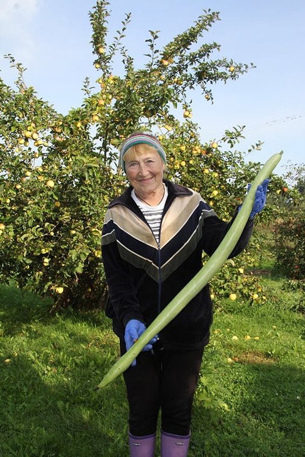 1. Как вам такой кабачок длиной почти в метр?