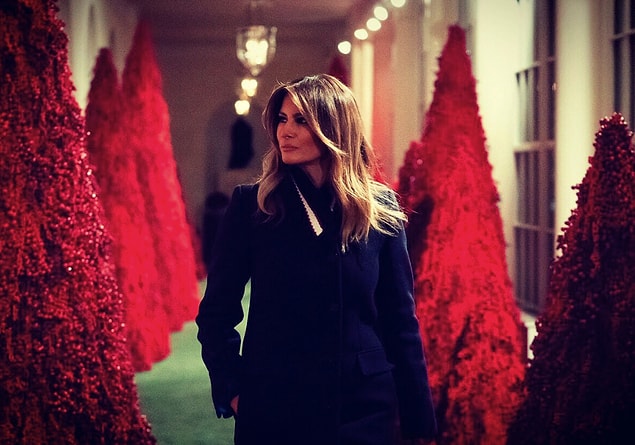 Maybe she wanted to create something that fits of her husband's recent policies.