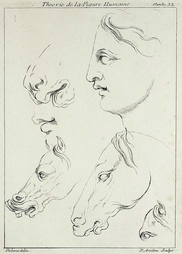 Гравюра из книги Питера Пауля Рубенса «Теория человеческой фигуры». Издание 1773 года: