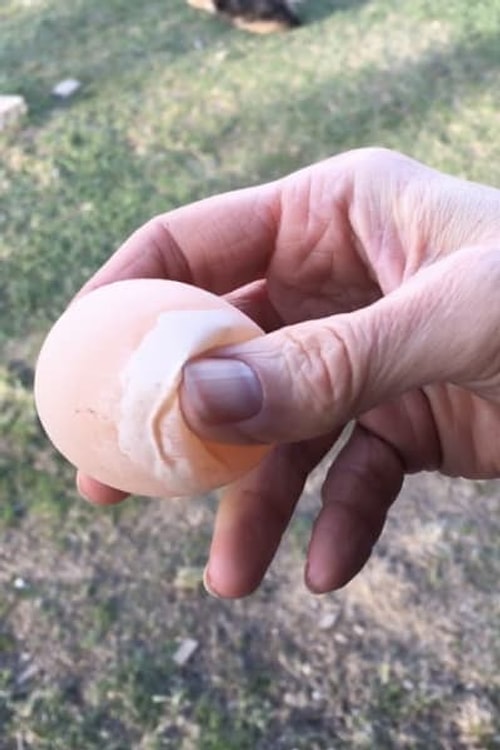 А это то самое яйцо из рекламы зубной пасты?