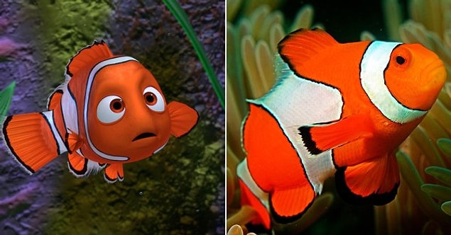 20. Nemo – “Finding Nemo” / Clownfish