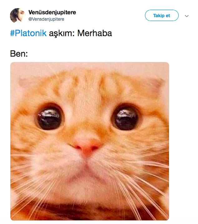 Başına gelmesinden korksa da ne yazık ki o girdaba kapılmıştır ve artık yapacak hiçbir şey yoktur. Ne kadar isterse istesin bir türlü vazgeçemez...