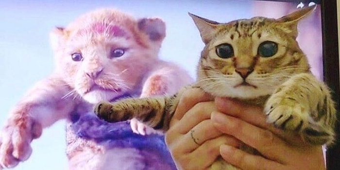 В предвкушении: Русские инстаграмеры коротают время в ожидании нового «Короля льва»