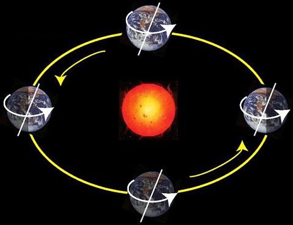 7. Полный оборот Земли вокруг Солнца осуществляется за: