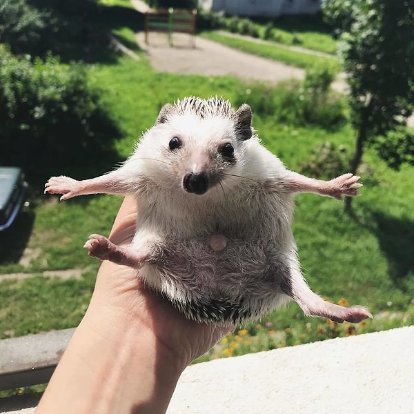 28. ... для тех, кто умеет наслаждаться ею! 🧡