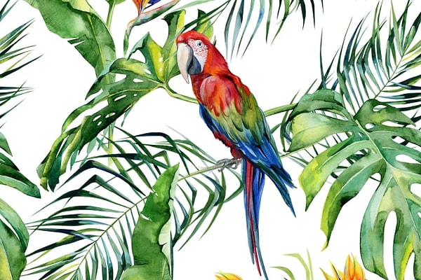 2. Теперь тропическую птицу: