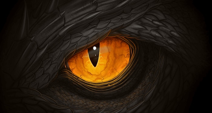 Тест на тотемное животное, который поможет определить вашу доминантную черту личности