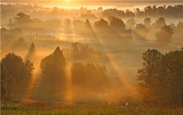8. "Утро вечера мудренее". (Народная поговорка)