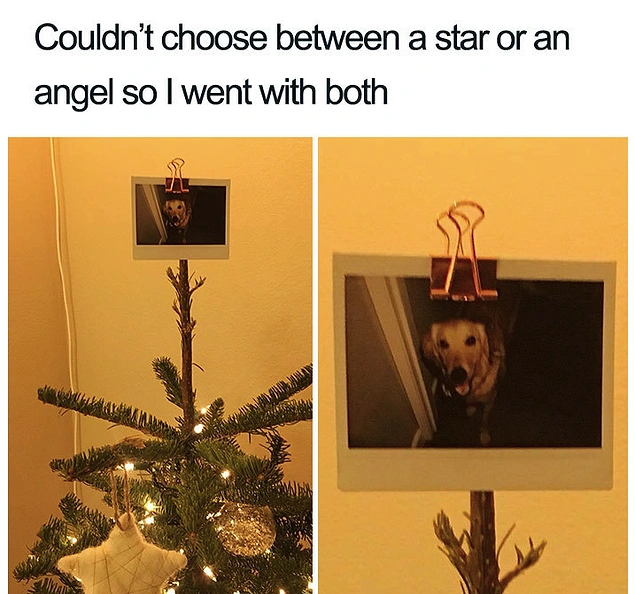 15 Laugh Out Loud Christmas Memes To Make Everybody Go Same Here Onedio Co
