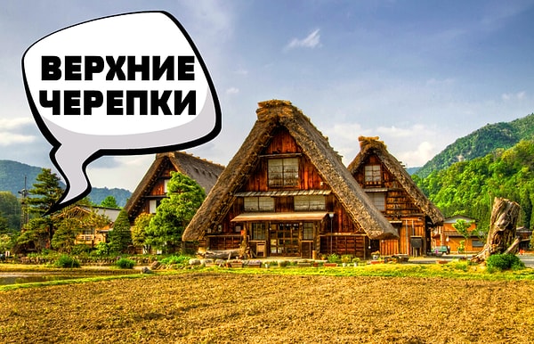 6. Ваш вердикт?