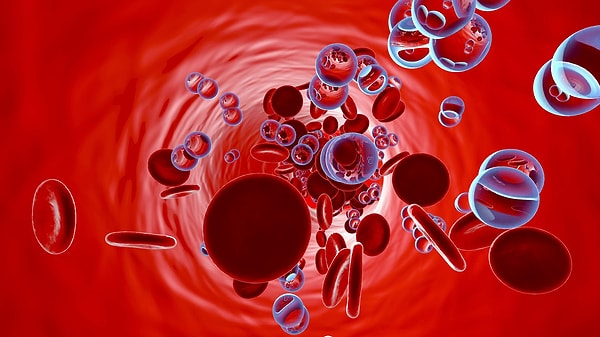 7. Кислород в крови переносит белок под названием...