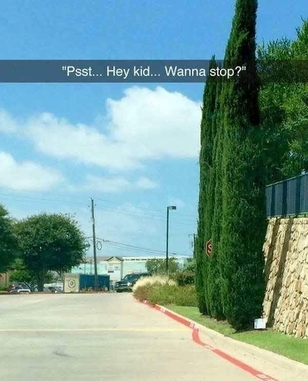 7. Дорожный знак для очень внимательных водителей