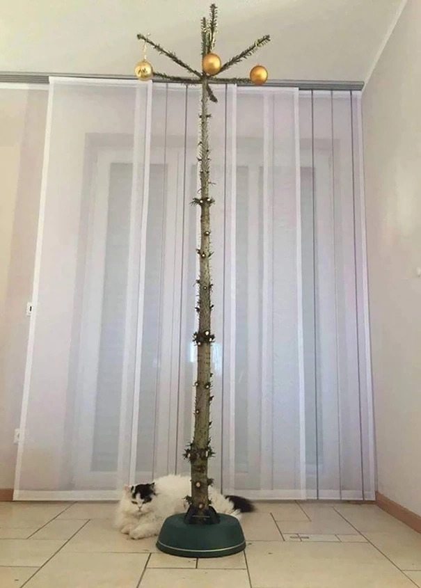 23 Brilliant Way To Protect Your Christmas Trees From Your