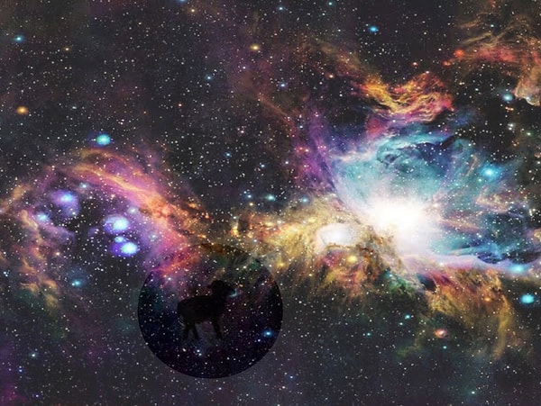 Подглядеть ответ 👀