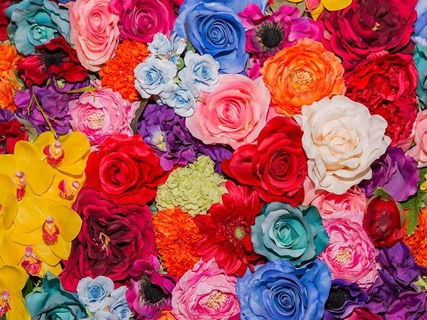 6. Выберите цветок: