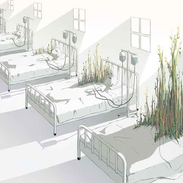 7. Ботанический сад